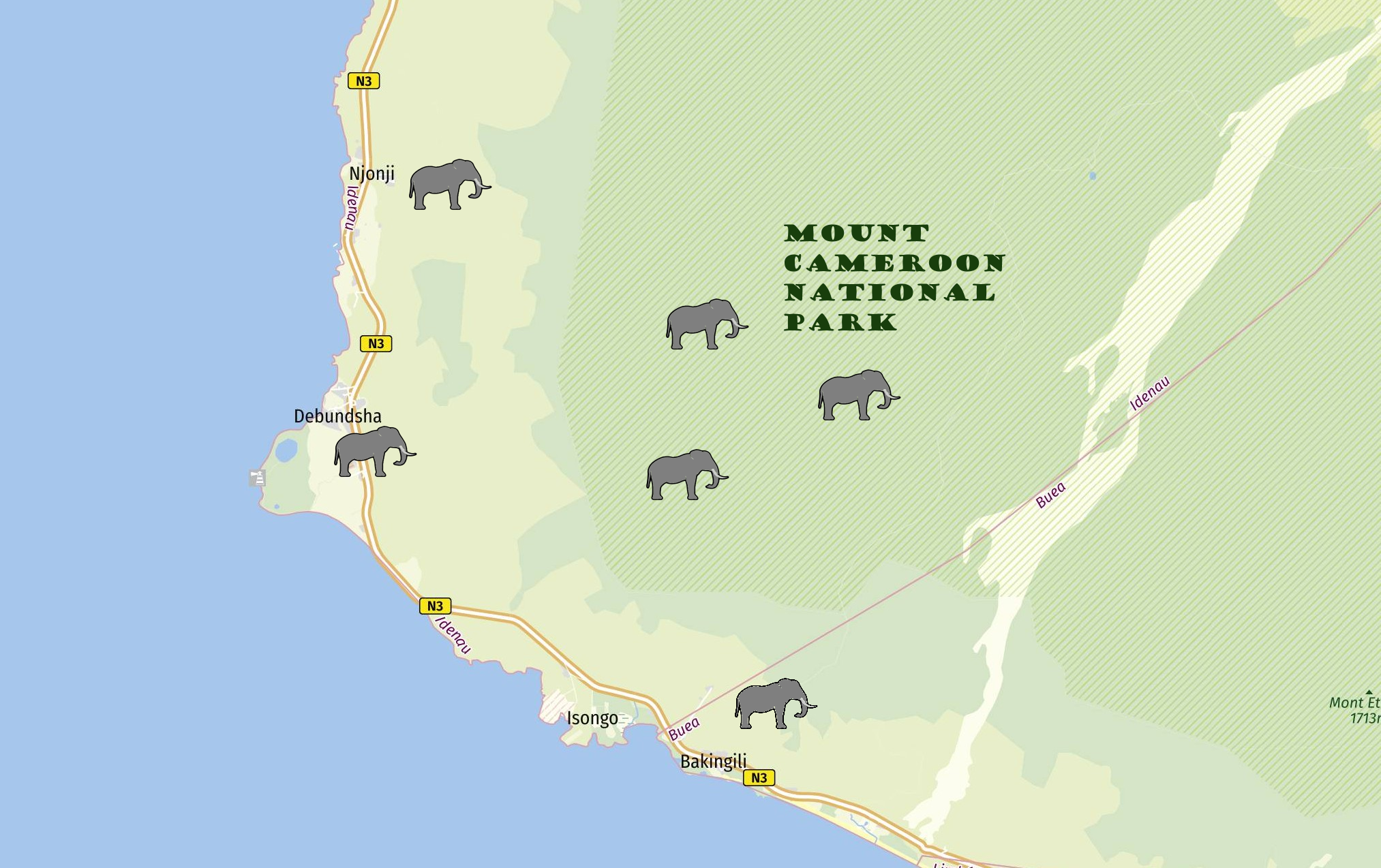 Elephants in Cameroon