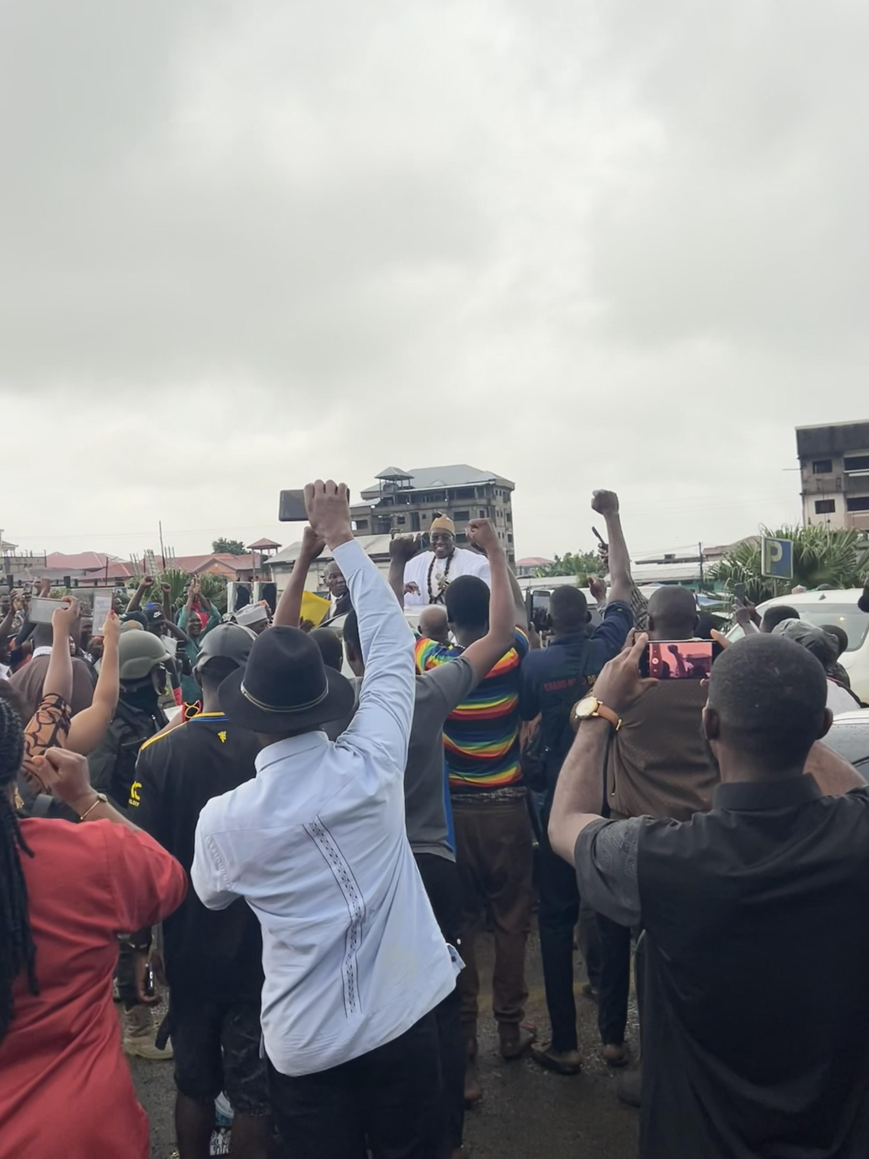 Elephants in Cameroon